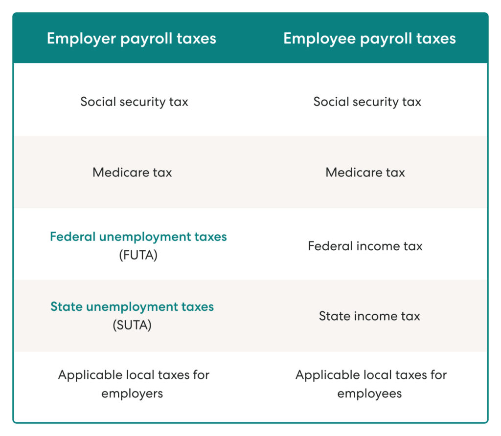 employer payroll taxes vs employee payroll taxes